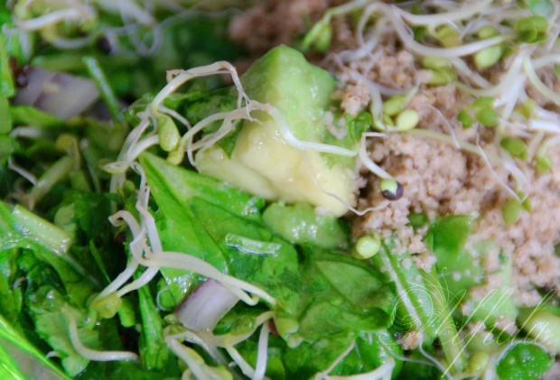 "Zelena salata" - spanak, rukola, magdanoz, avokado, kulnove ...